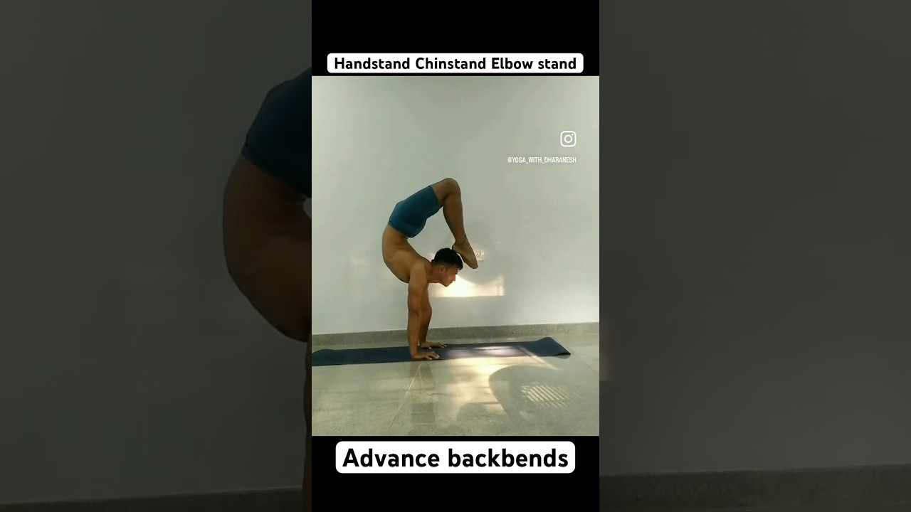 Handstand | Chinstand | Elbowstand| advanced backbends 