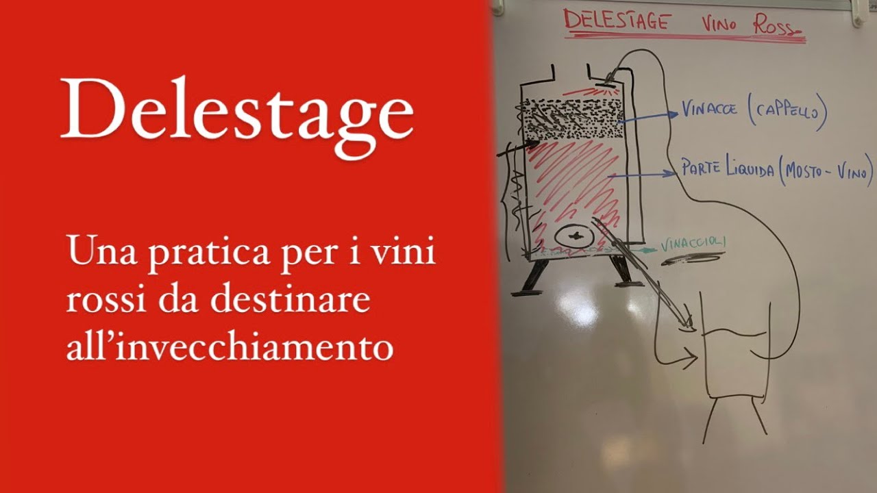 DELESTAGE: una pratica per i vini rossi da invecchiamento