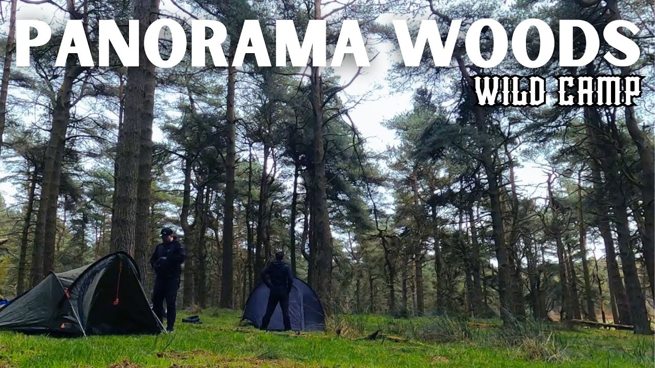 WOODS ON A MOUNTAIN WILD CAMP