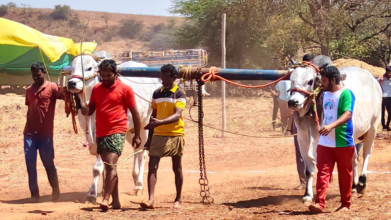 2026-వెంకటాంపల్లి.న్వూకేటగిరి.🥇🏆.5వ జత.M.అక్షర రెడ్డి రాయవరం గ్రామం నాగర్ కర్నూలు జిల్లా తెలంగాణ