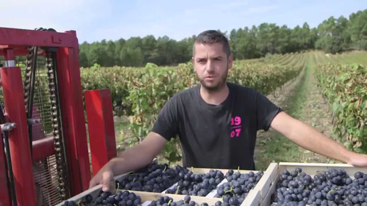 Les Saisonniers en Ventoux Comtat Venaissin / Grand Briançonnais