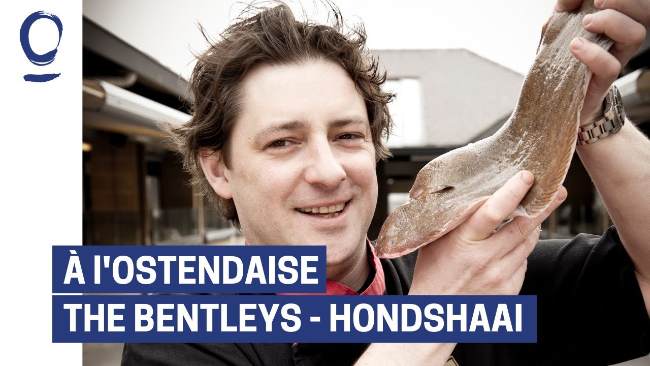 A l'ostendaise - The Bentleys - Hondshaai // Oostende
