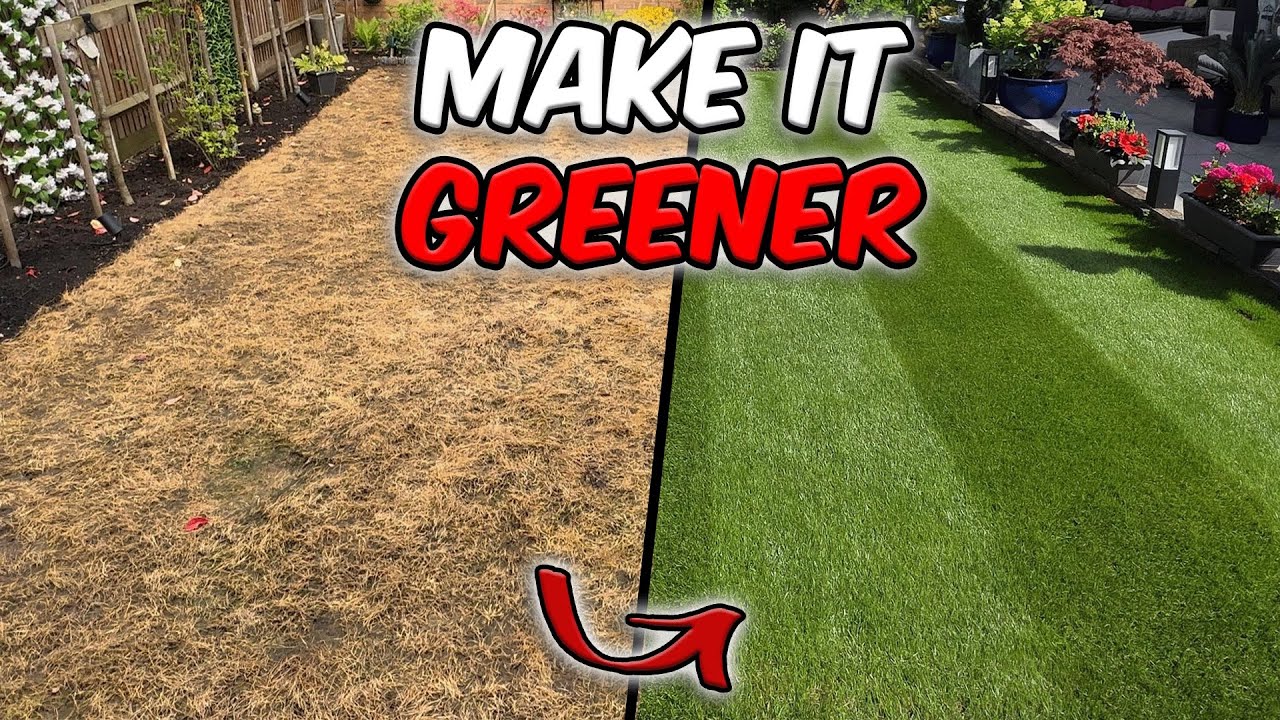 Make your lawn GREENER and get your lawn ready for Autumn
