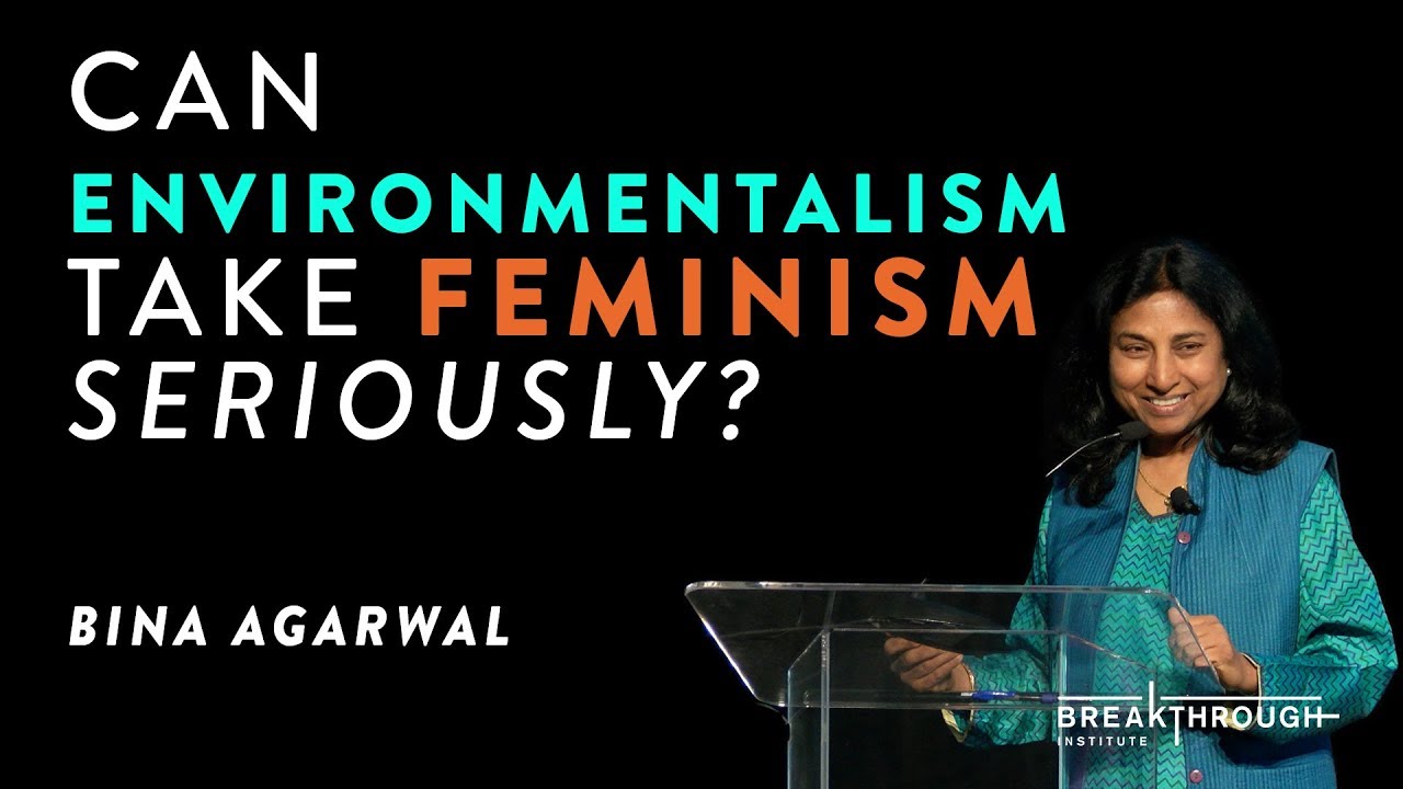 WHY Environmentalism Should Take Feminism Seriously and HOW It Can Do So