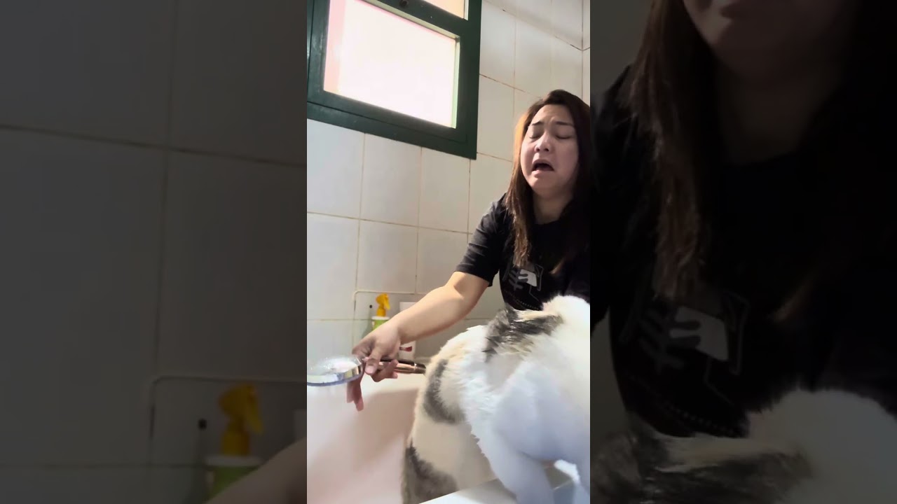 BATH TIME WITH MY CAT AND SHE RAN | DUBAI
