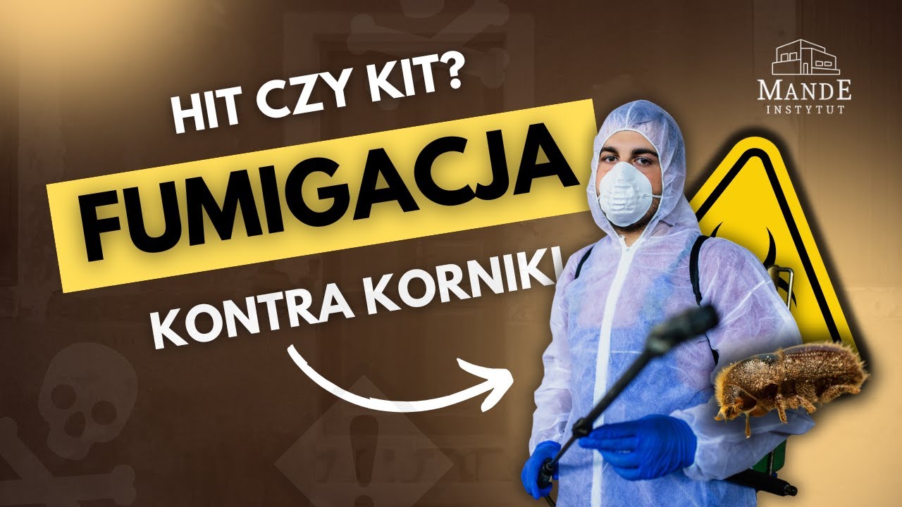 Fumigacja drewna – czy działa? Jak uratować belki, podłogi i meble przed zniszczeniem przez korniki?