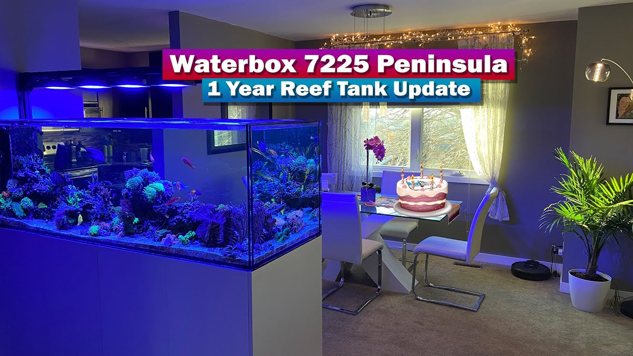 WaterBox 7225 Peninsula 1 Year Tank Update - Saltwater Aquarium Tank Tour!