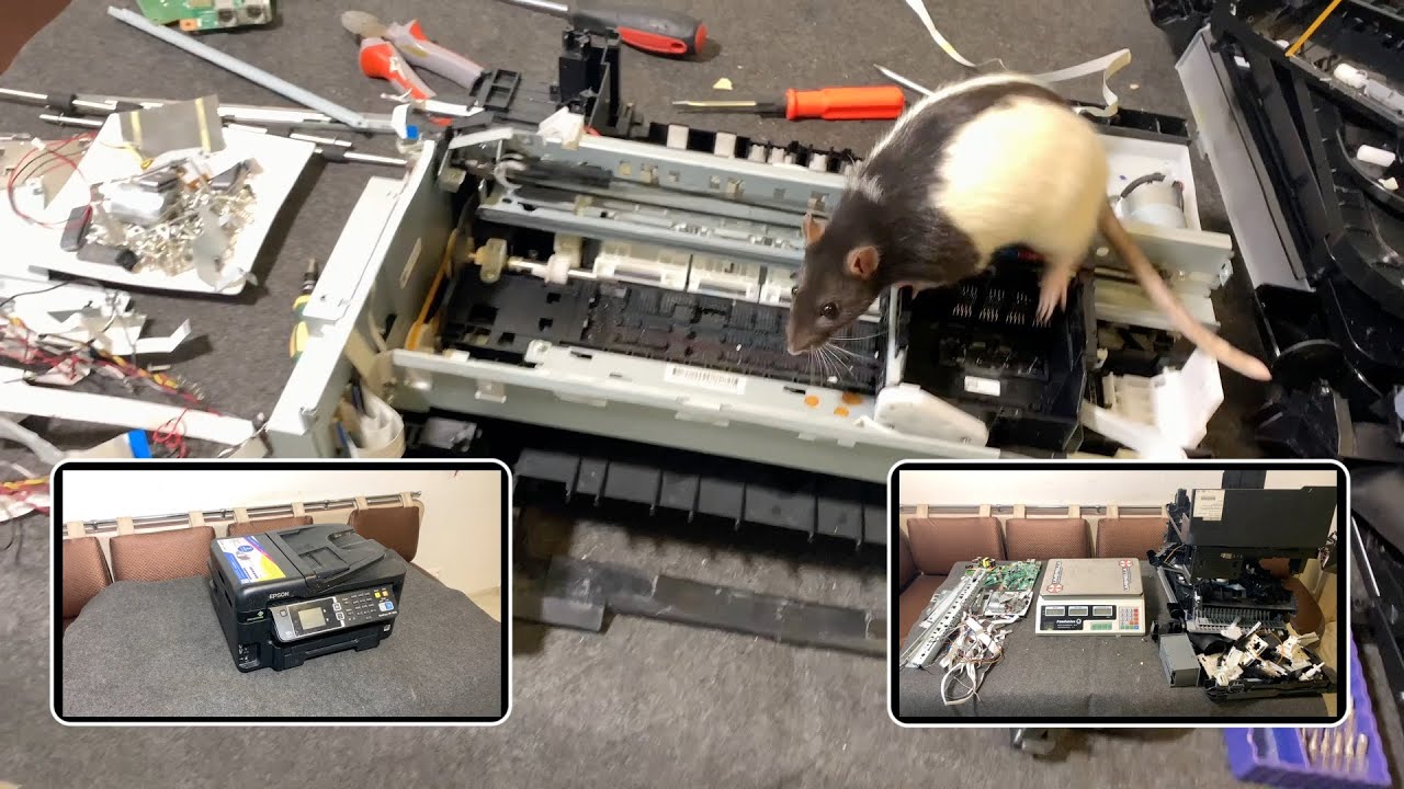 Разбор принтера EPSON WorkForce WF-3620