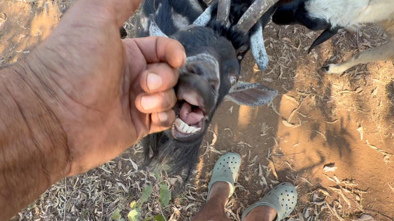 Es gratis y no lo sabias