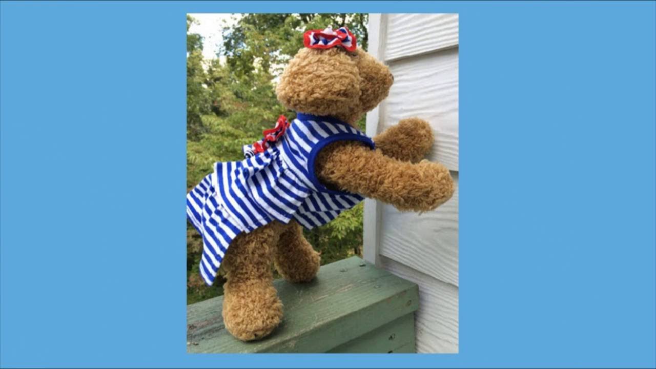 Fancy Easter Dog Dresses 2019 I Dog Clothes I Dog Dress I Puppy Dress