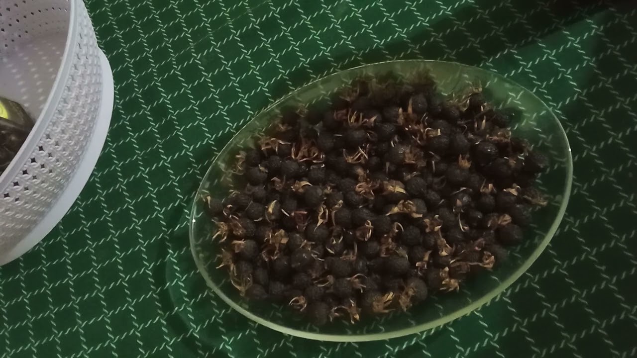 Kara (siyah) kuşburnu faydaları 
