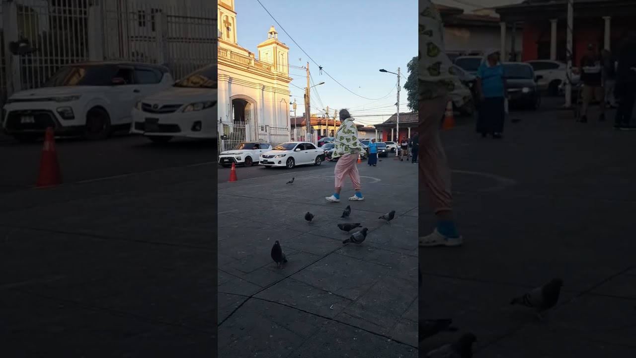 Lo más hermoso que veras 🥰🇸🇻