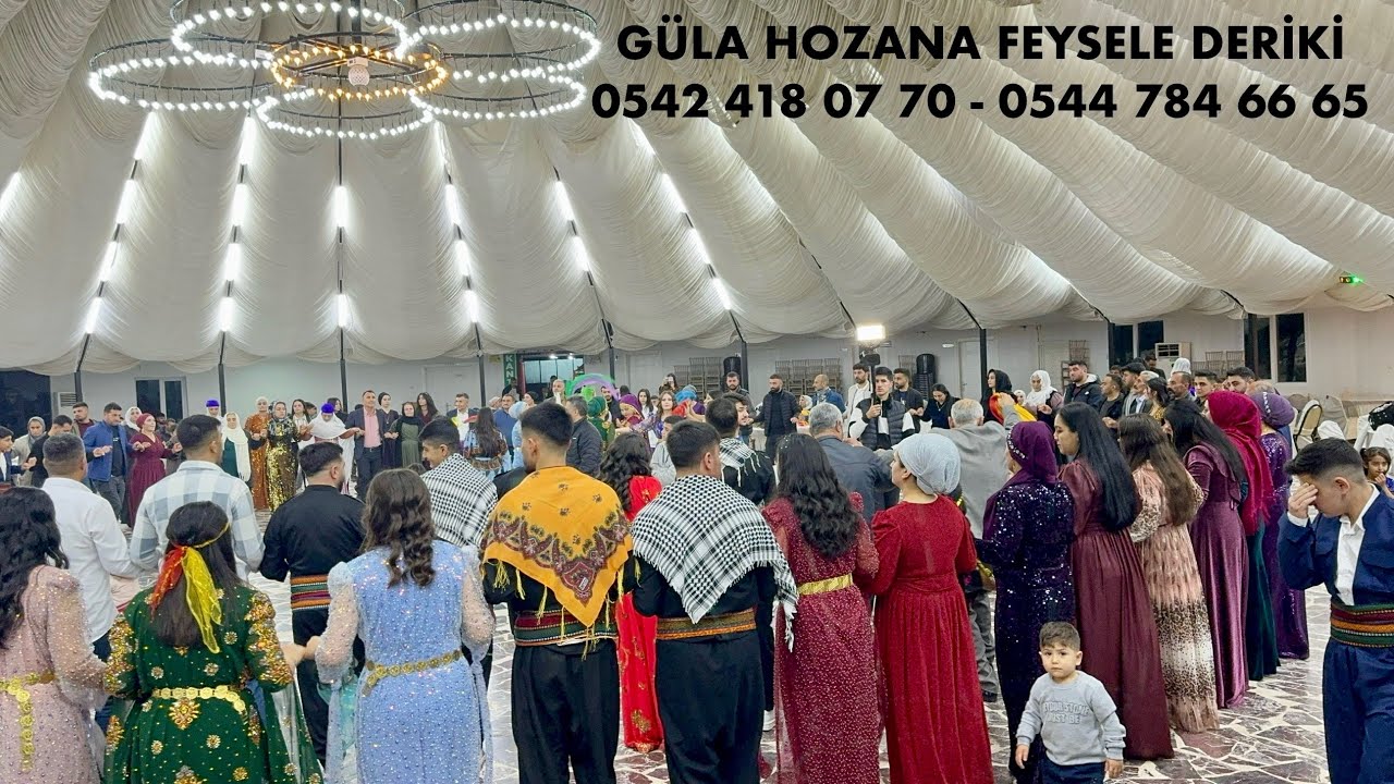 FEYSELE DERİKİ ®️ | MUSTAFA & GÜLİZAR | 10 | 02 | 2024 | PART_1 | GRANİ | DAWETA MALBATA ÖNÜN ; LERA