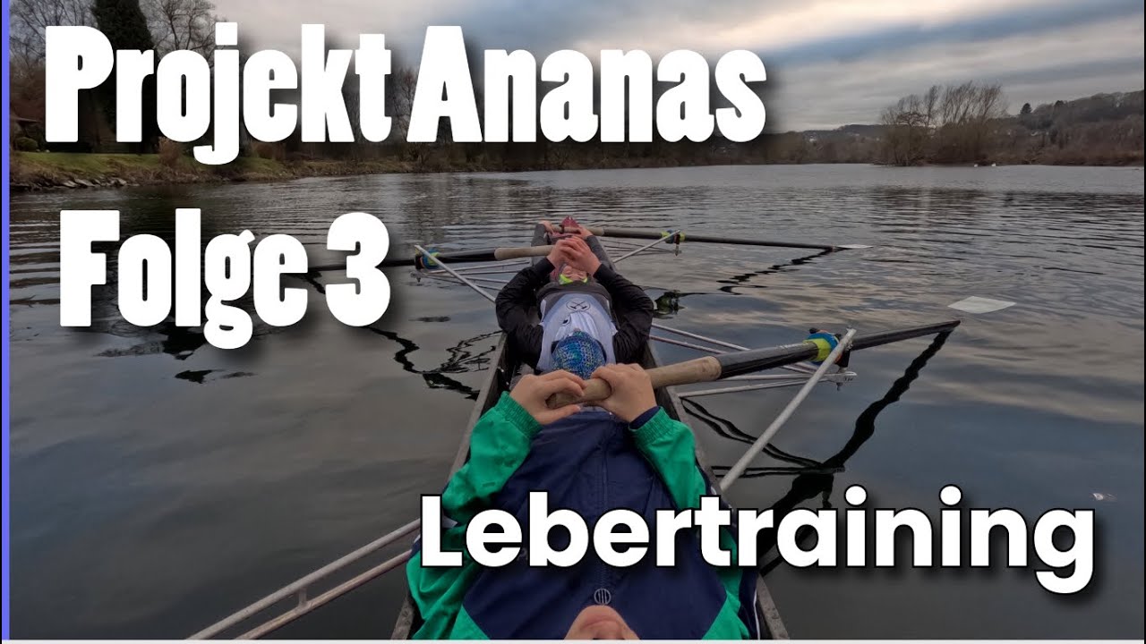Projekt Ananas Folge 3: Lebertraining🍻