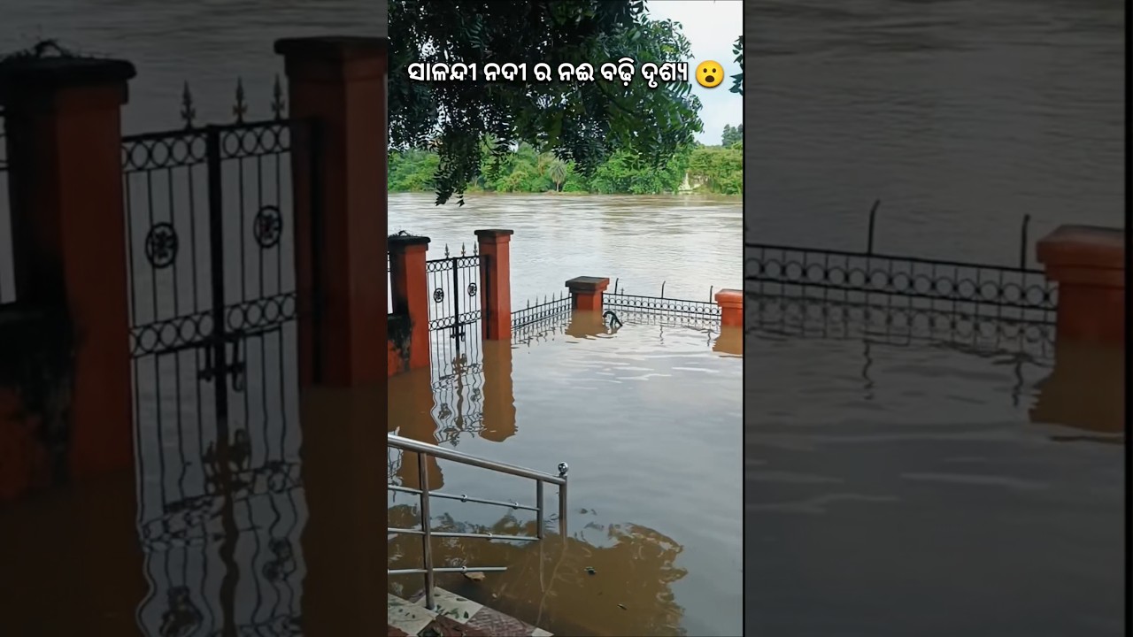Flood in Salandi river 🌊#fyp #flood #shorts # #viral #shortvideo #fypシ #river #viralworld #subscribe