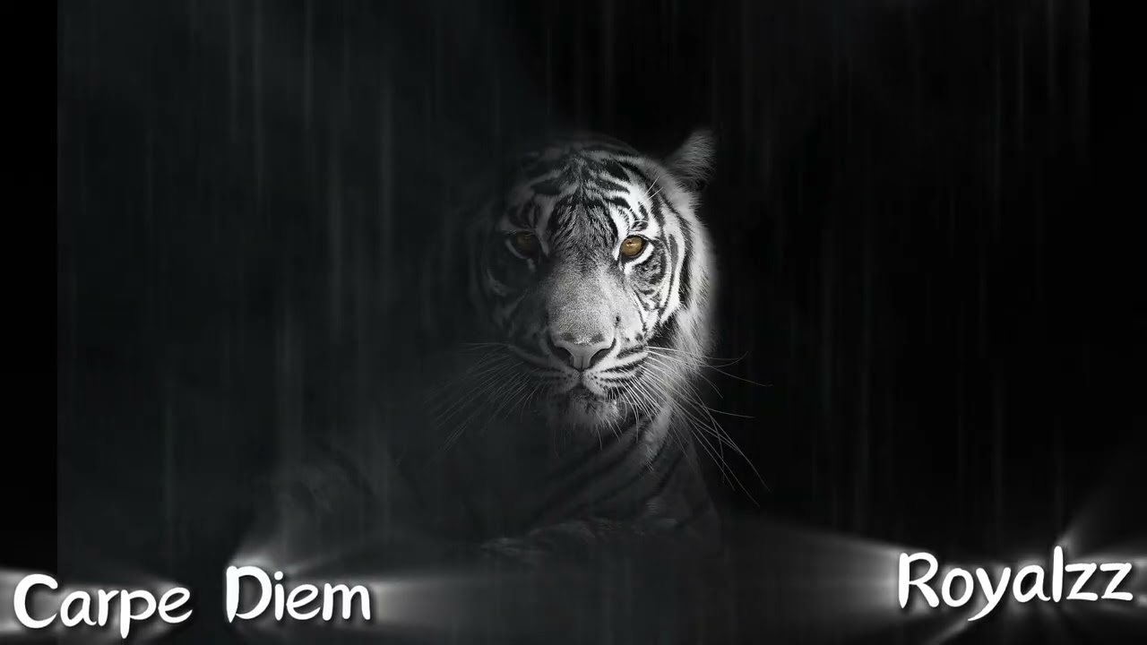 Dark Trap Type Beat (2026) - 