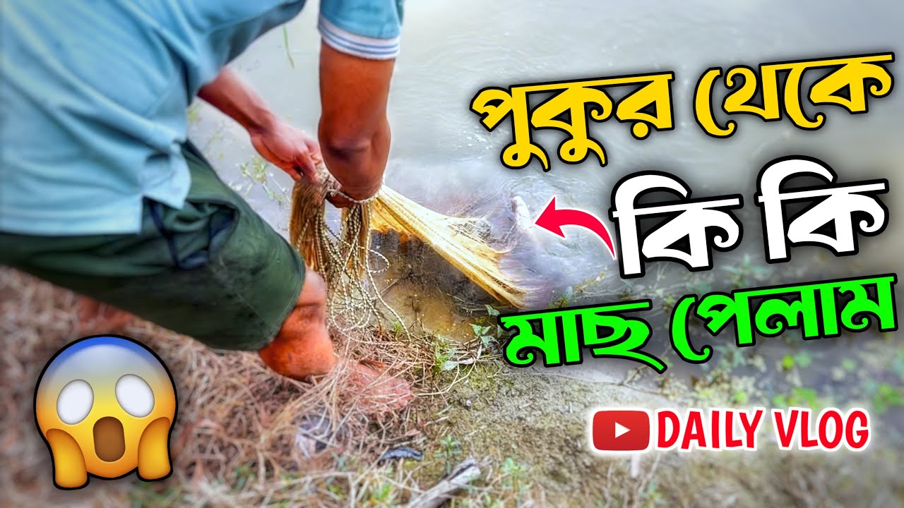 পুকুর থেকে কি কি মাছ পেলাম 🐟 নিউ ফিশিং ভিডিও 🦐 নিউ ভাইরাল ভিডিও @DaliMilkRaidighi2026 
