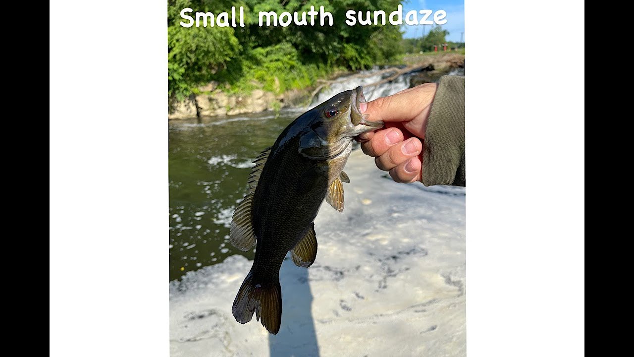 Small mouth sunday's 