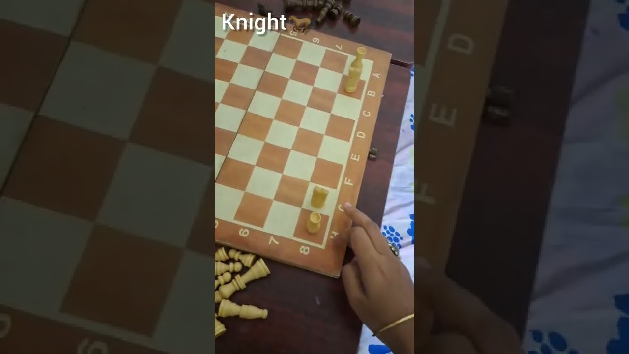 Chess pieces arrangement (Basic video for beginners)