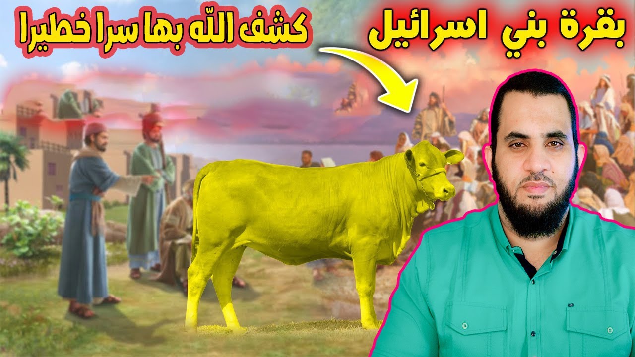 قصة البقرة التي أحيا الله بها ميـ تا وكشف الله بها أسرار جريـ مة خطـ يرة وقعت في بني اسـ رائيل