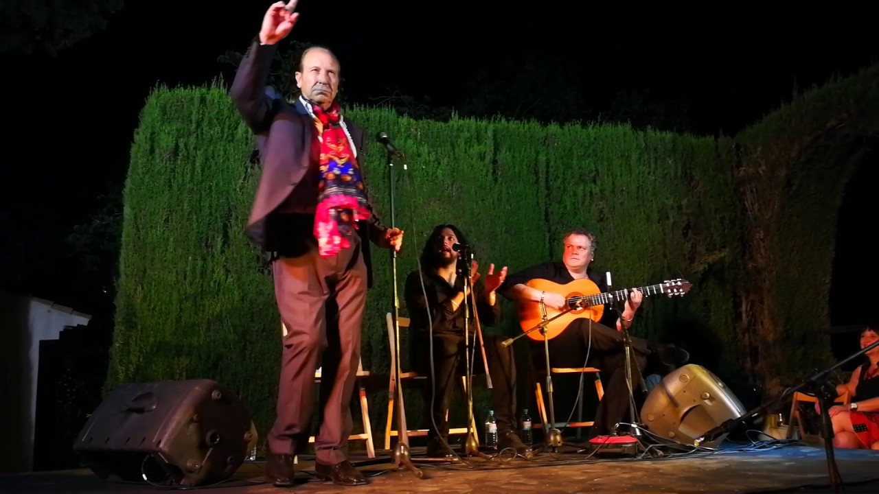 Curro Albayz&iacute;n en el Festival flamenco organizado por la Asociaci&oacute;n Bajo Albayz&iacute;n