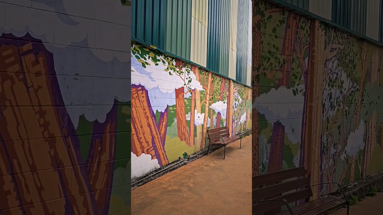 Arte Urbano en Porri&ntilde;o: &Aacute;rboles que Tocan el Cielo 🌳☁️ #graffiti  #streetart  #viajes  #shorts