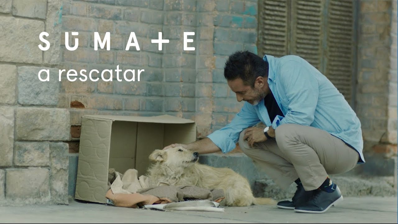 Súmate - La nueva campaña de Movistar Plus