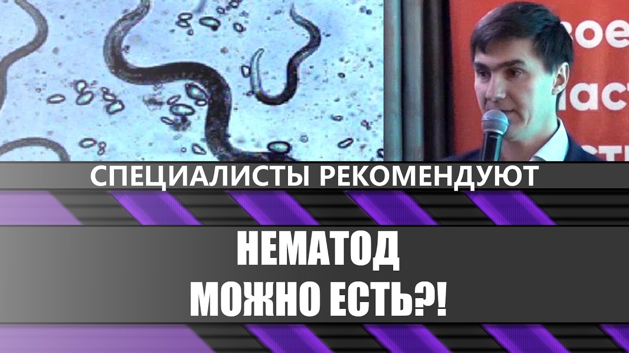 Нематод можно есть?! Мифы и заблуждения