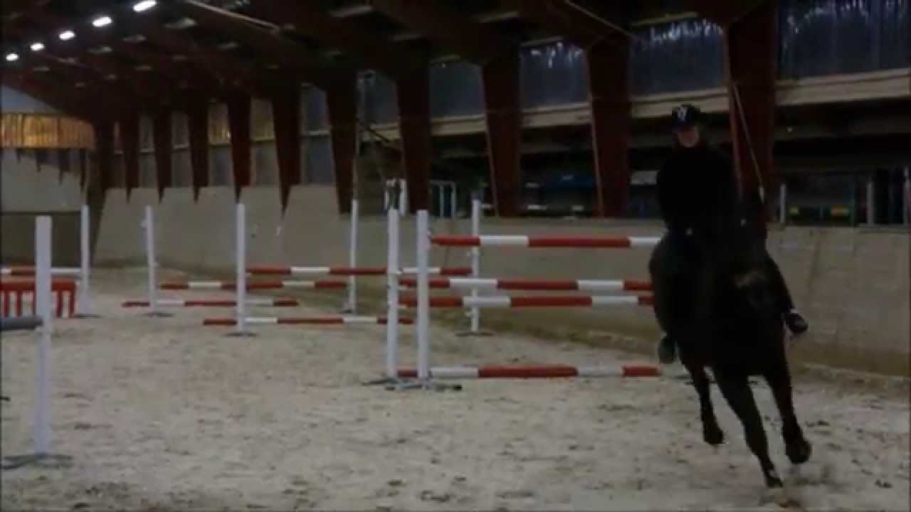 Springundervisning 11/11-2014 Tuse Næs Køre -og Rideforening