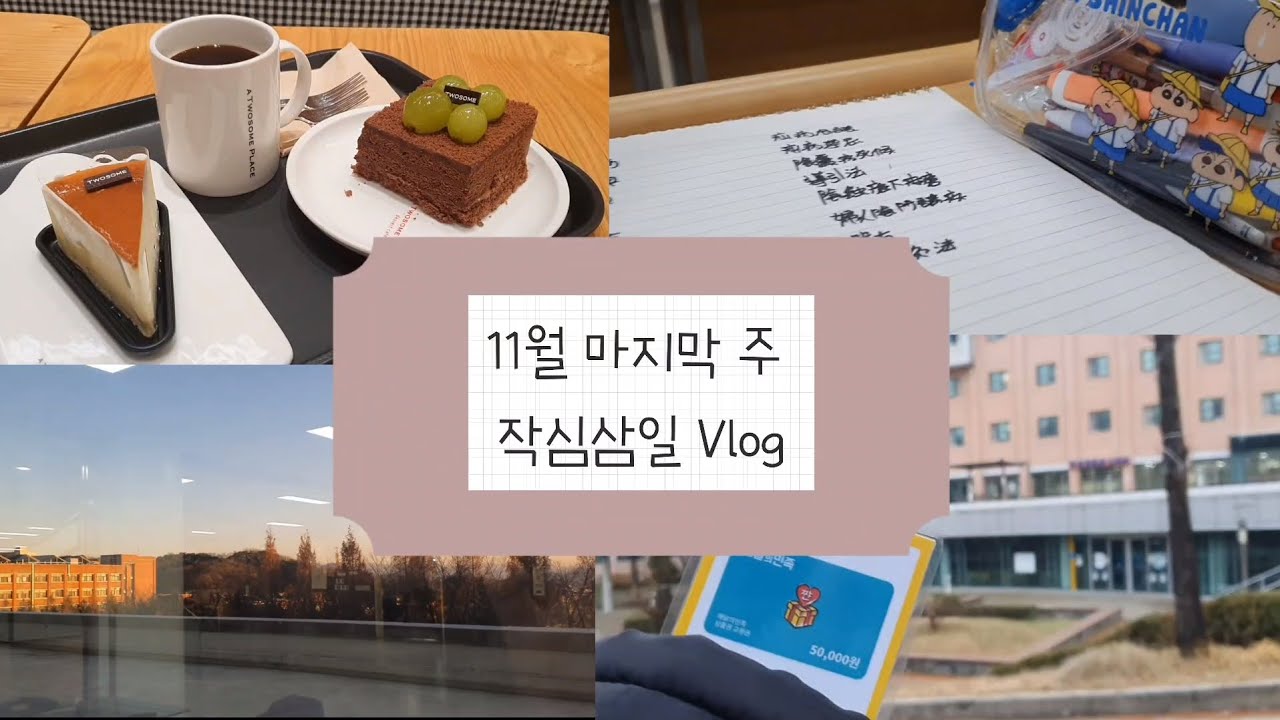 11월 마지막 주 작심삼일 Vlog / 기숙사 / 한의대 / 도서관 /대학생 일상 #세명대 #세명대기숙사