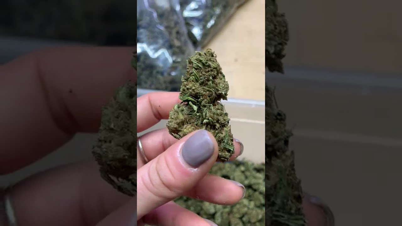 Orange Bud 0.5