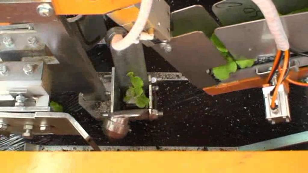 Planteuse film plastique