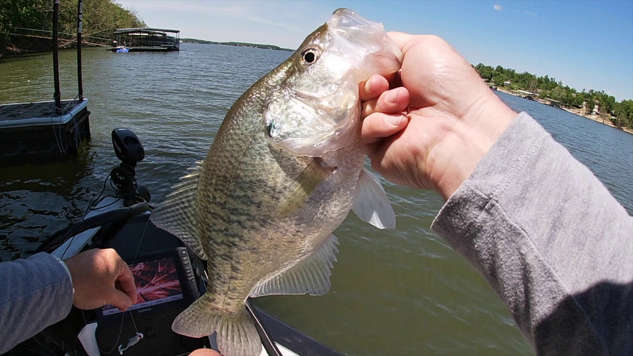 Dock Shooting Tips For Big Crappie!