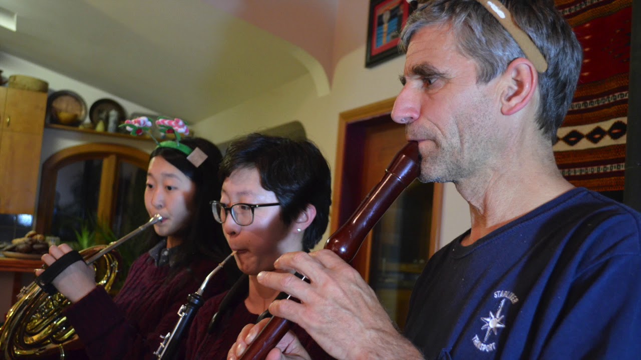 Nutcracker - 2020 pandemic holiday video