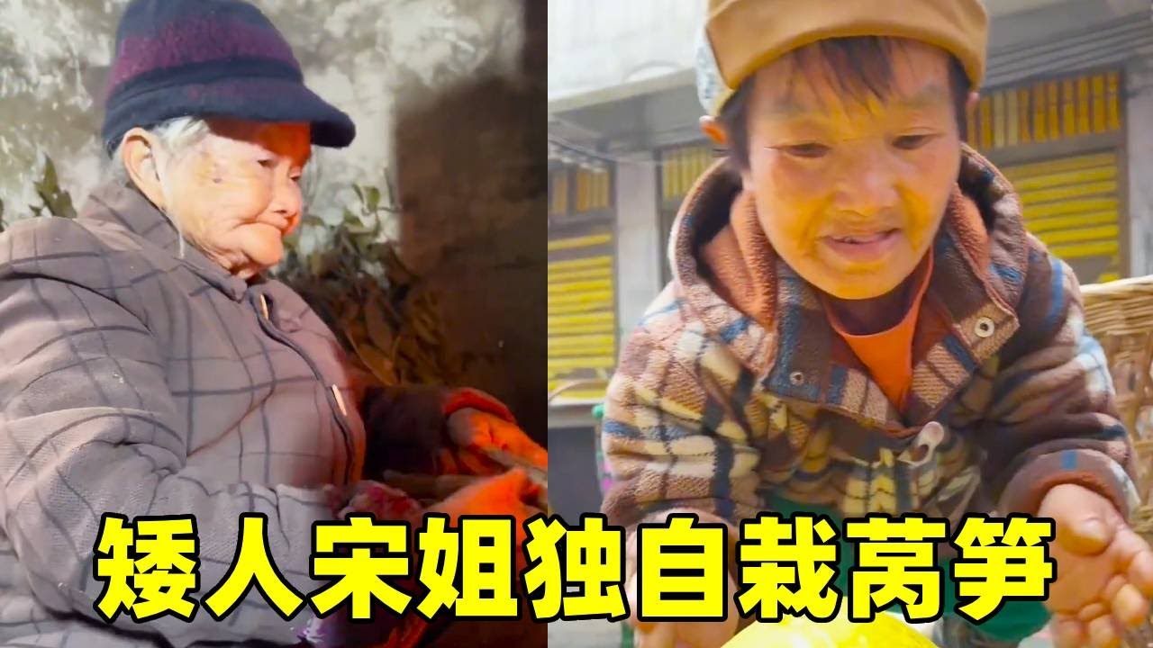 宋姐独自一人上山栽莴笋，回家还要给年迈的妈妈做饭！小小身体承受太多农活【农家宋姐】