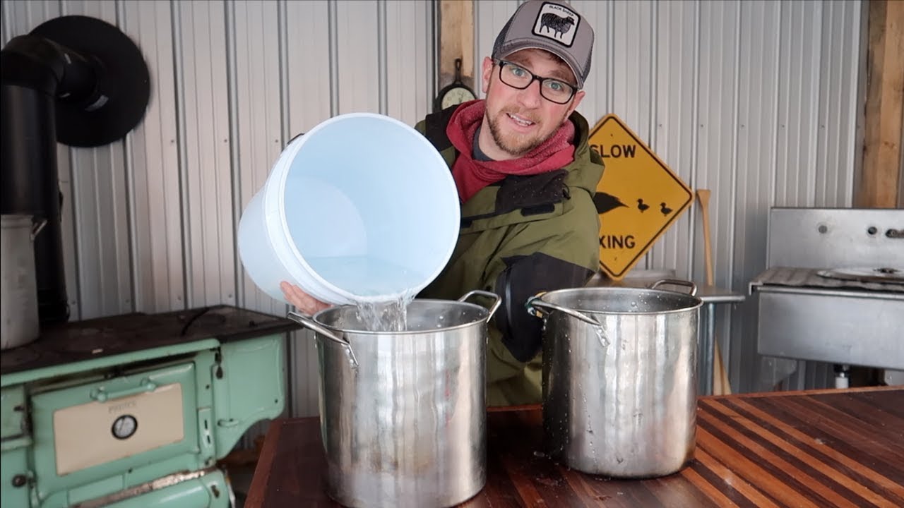 You wont Believe How Much Maple Syrup We made Today