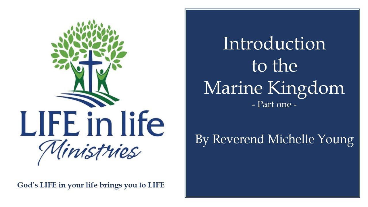 Introduction to the Marine Kingdom (Part one)