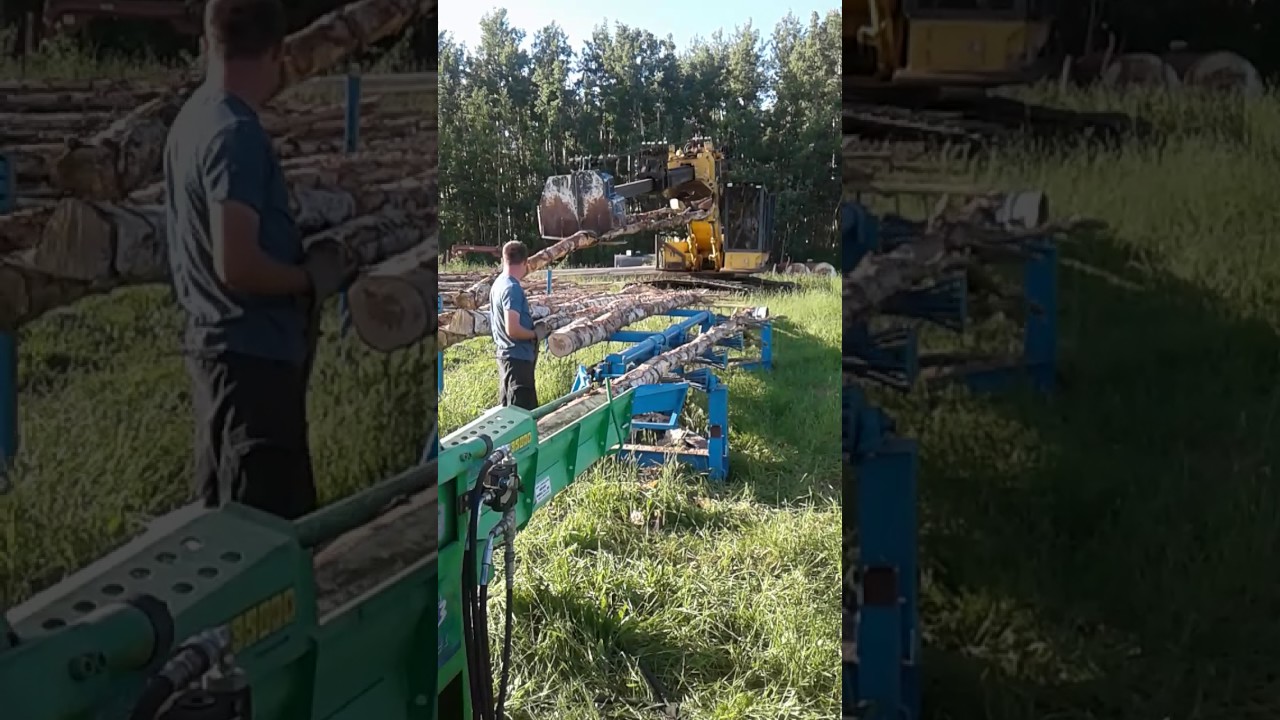 Fast Firewood. Bilke S3 firewood processor cutting birch