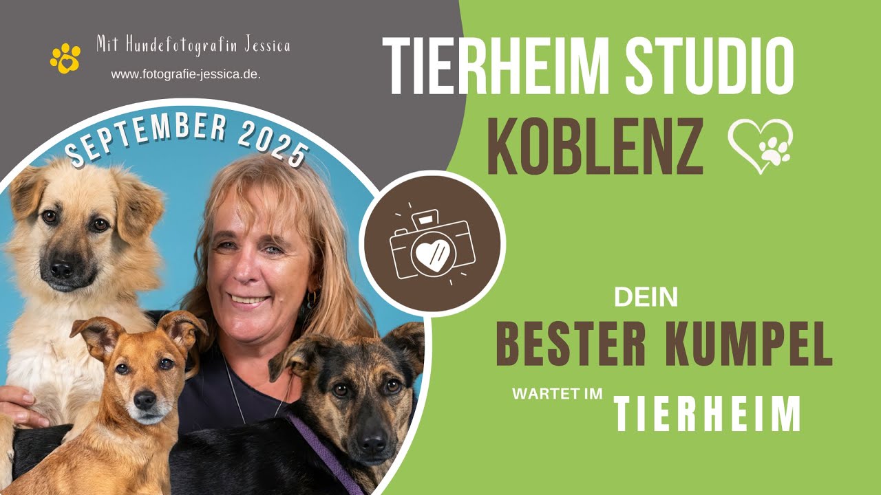 Tierheim Studio Koblenz 💯😍🐶📸 Teil 3 - Goofy, Jana & Lena in 4K