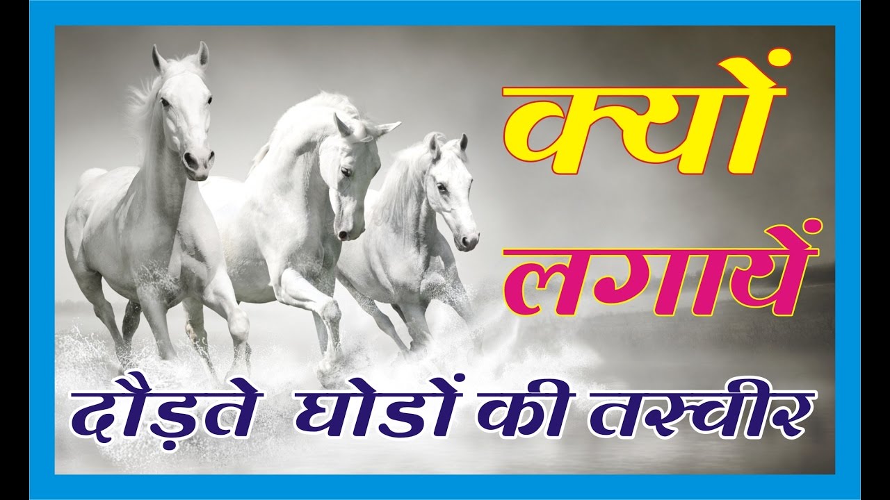 क्यों लगायें दौड़ते घोड़ो की तस्वीर (Effect of Running Horse Image)
