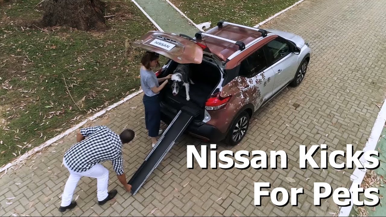 Nissan Kicks For Pets - SUV para o seu cachorro ou gato