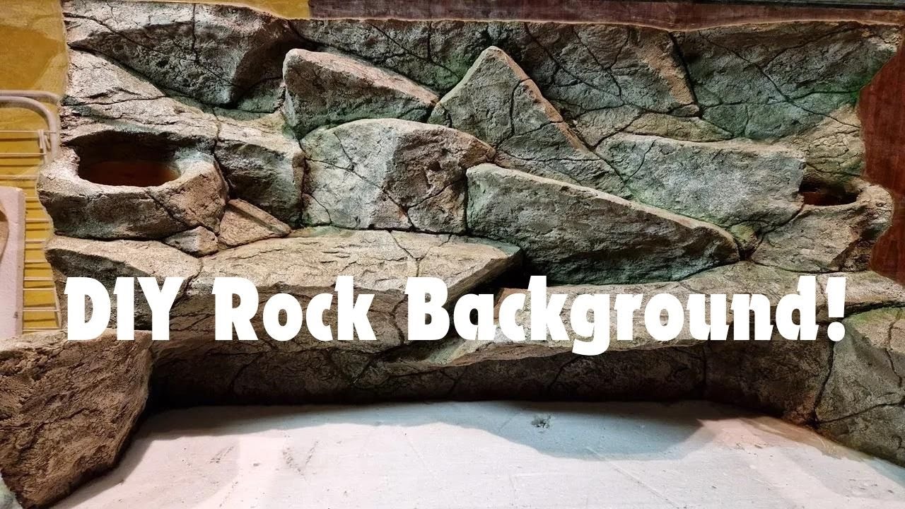 Rock Wall Terrarium Background!