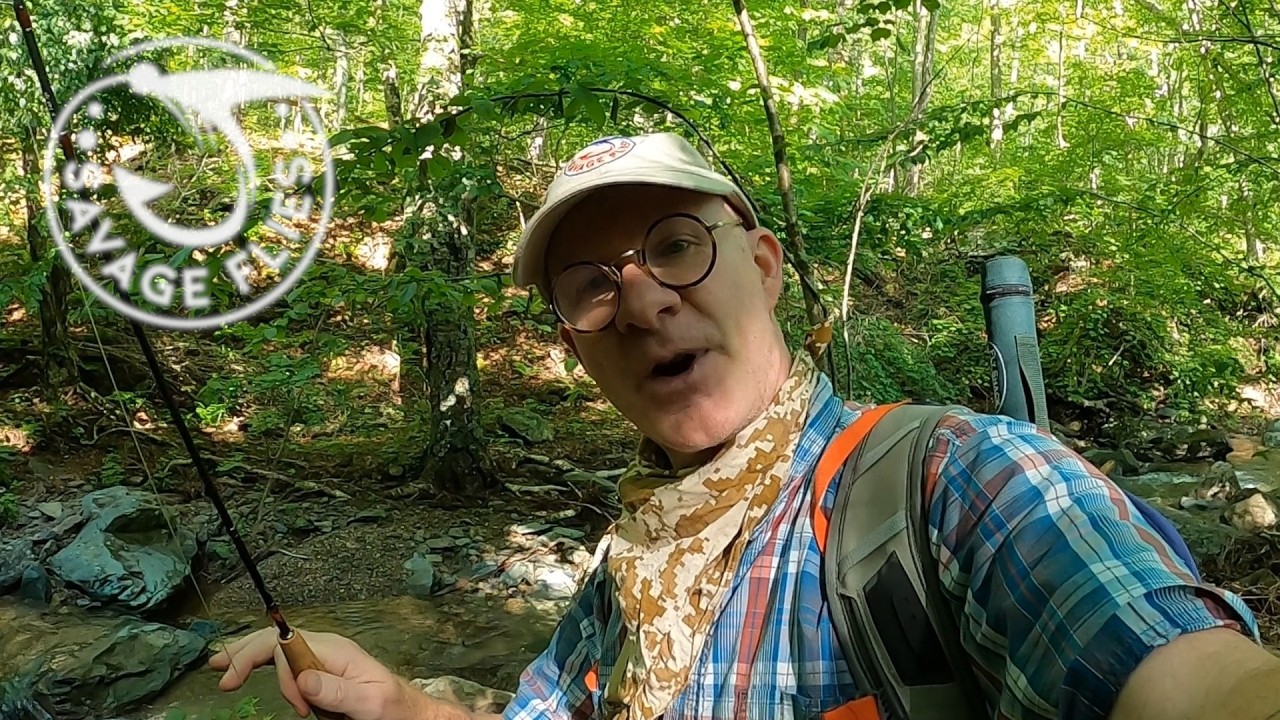 Fly Fishing Virginia's Waterfalls, Ep. 1 (Dark Hollow Falls)