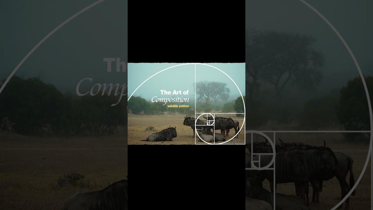 The Art of Composition - Wildlife Edition