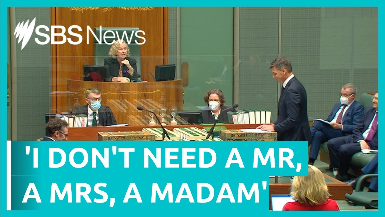 Angus Taylor pulled up for 'Mr Speaker' comments| SBS News