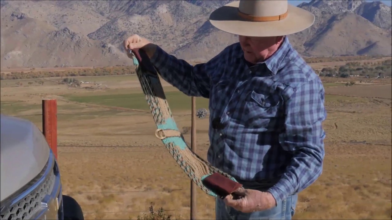 Keeping Your Mohair Cinch Clean
