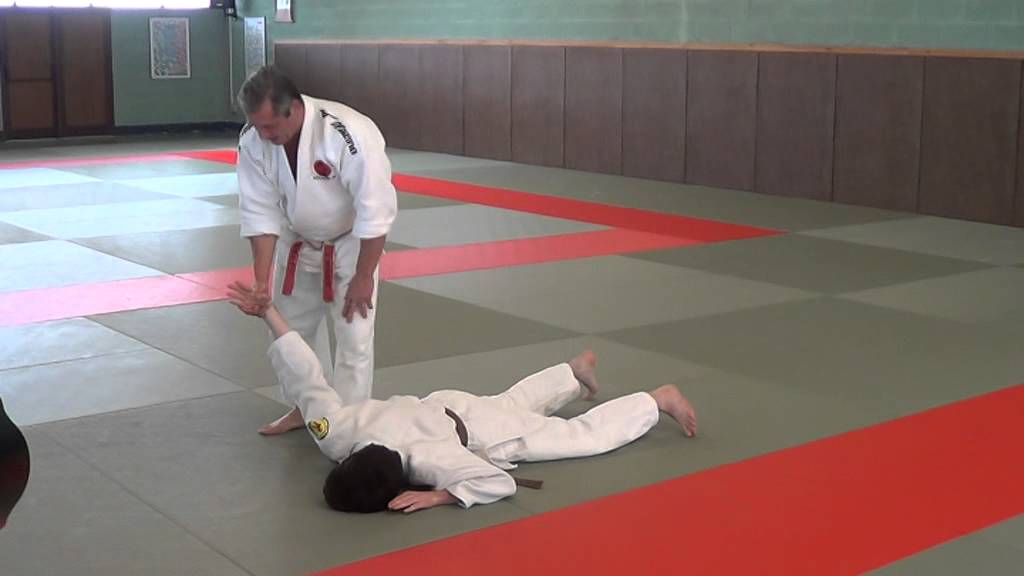 JUJITSU 20 techniques  : A1