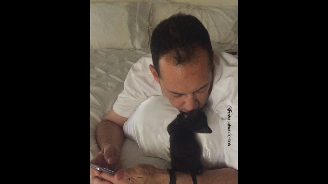 Gus the tiny kitten with special needs loves his foster dad
