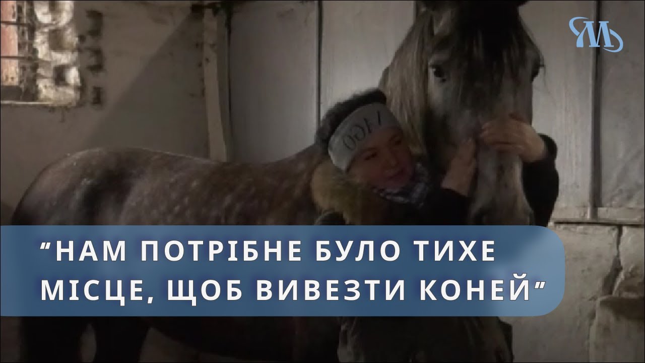 Анастасія Богач врятувала від війни 16 коней, переїхавши у Миргородську громаду