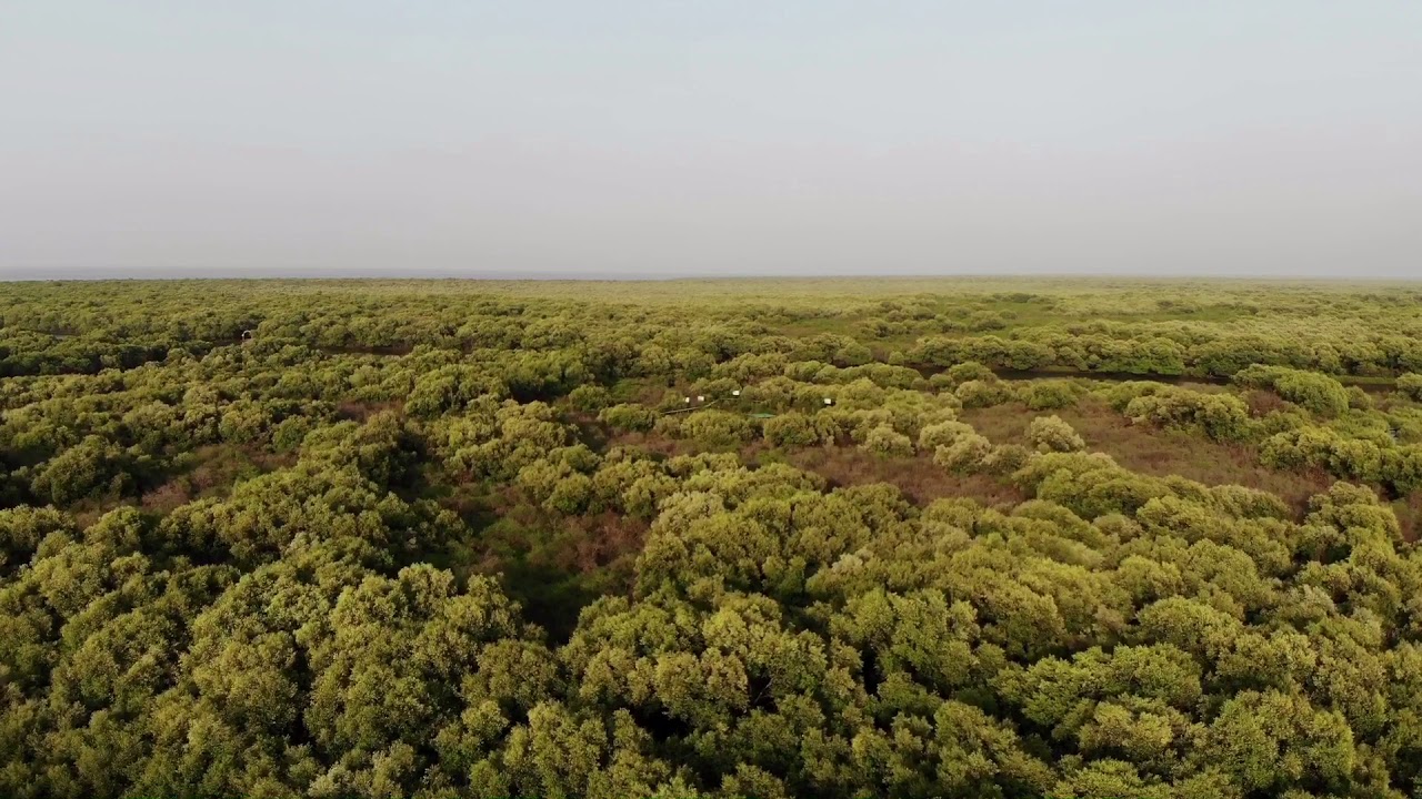 Drone Video: 10 Coringa Wild life Sanctuary, Near Kakinada